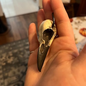 Anna added a photo of their purchase
