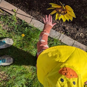 Kate added a photo of their purchase