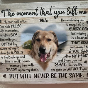 Tracy added a photo of their purchase
