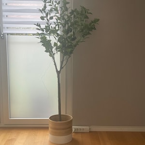 Monica added a photo of their purchase