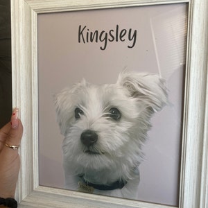 Priscilla heeft een foto van de aankoop toegevoegd