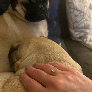 Kelley added a photo of their purchase