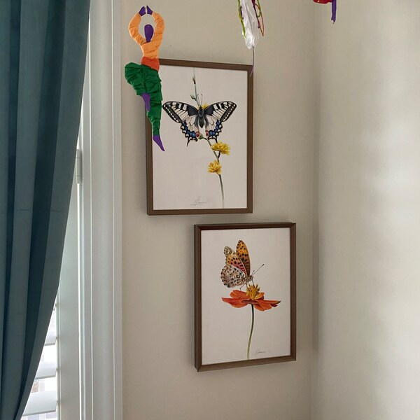 Robin Bird Watercolor Painting, Handmade Artwork, Bird Wall Decor - Etsy