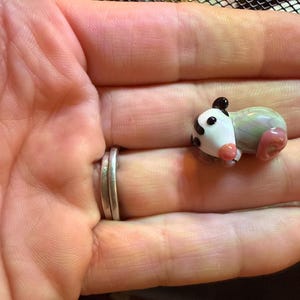 Sammy added a photo of their purchase