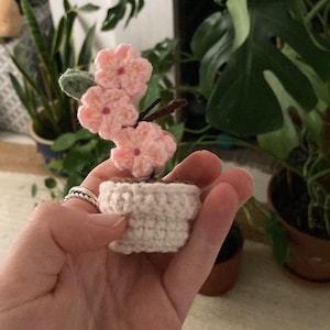 Nadia added a photo of their purchase