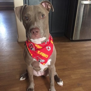 Allison added a photo of their purchase