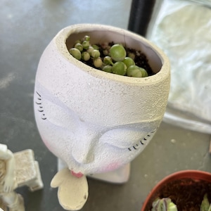 Tina added a photo of their purchase