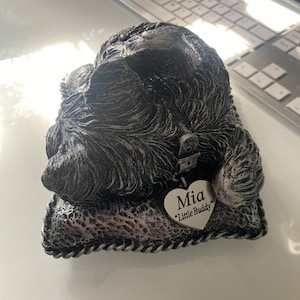 Courtney added a photo of their purchase
