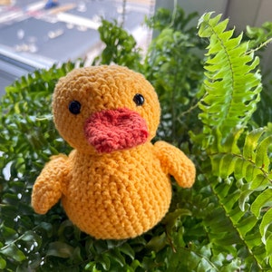 Karolina added a photo of their purchase