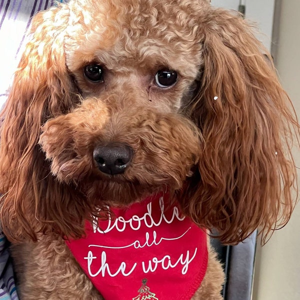 Doodle All the Way Dog Bandana - Etsy