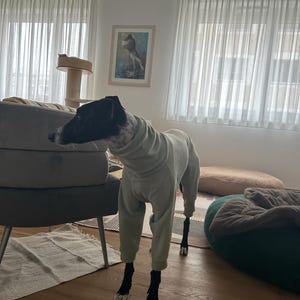 Sara ha aggiunto una foto del proprio acquisto