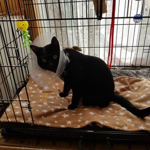 Sharon ha añadido una foto de su compra