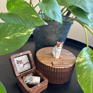 Bella added a photo of their purchase