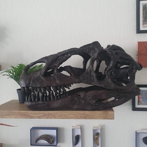 実物大のアロサウルスの頭蓋骨の彫刻 - Etsy 日本