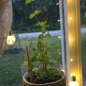 Brenda added a photo of their purchase