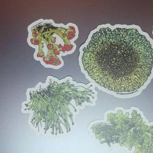 Heidi a ajouté une photo de son achat