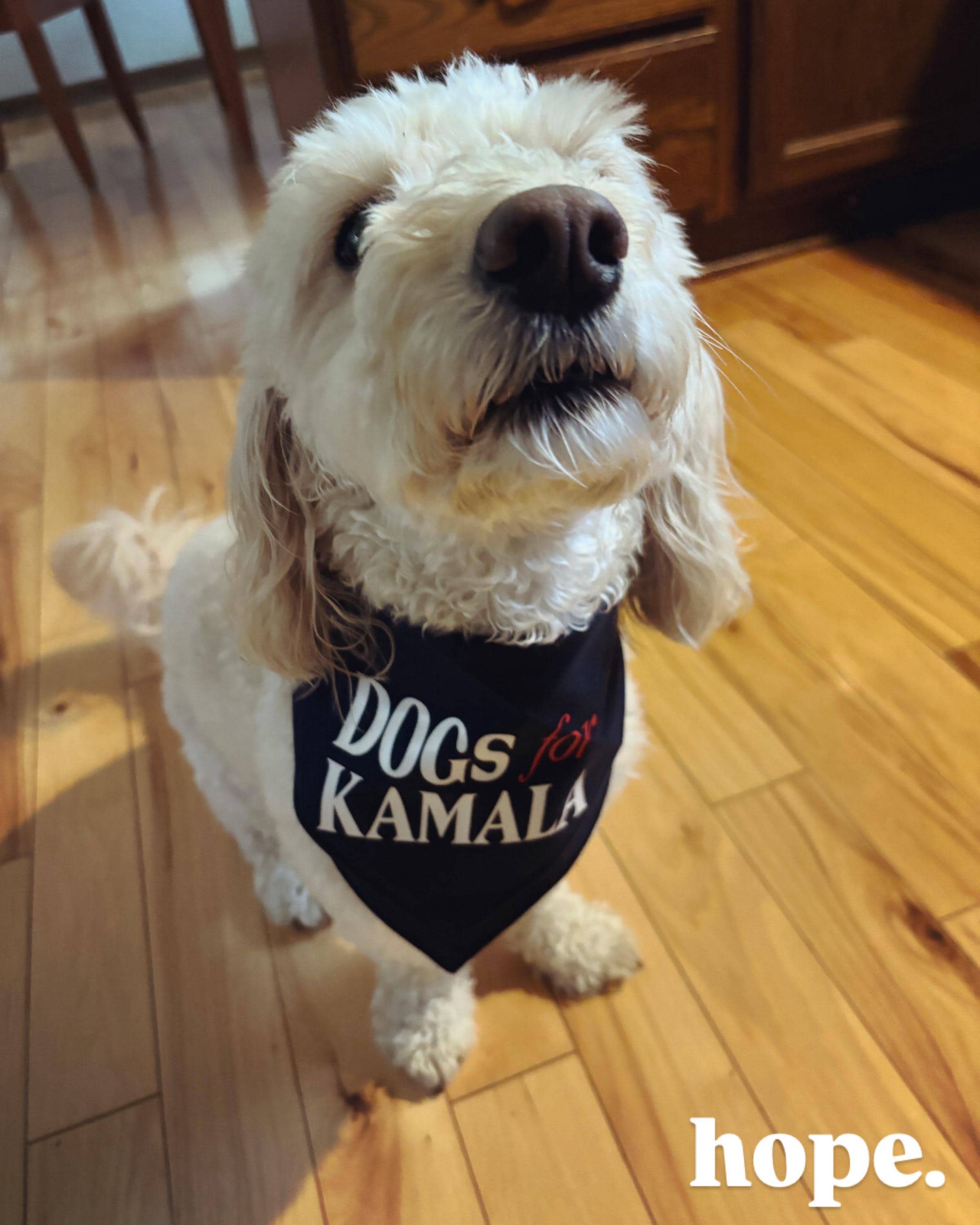 Dogs For Kamala Tie-On Dog Bandana | kamala dog bandana | dog mom for kamala | kamala dog clothes | kamala dog shirt | kamala for president