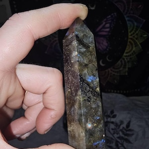 Crystal added a photo of their purchase