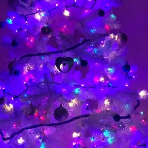 kelly added a photo of their purchase