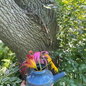 Adam added a photo of their purchase