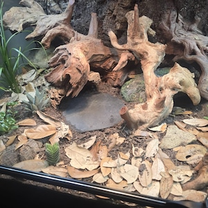 Christopher added a photo of their purchase