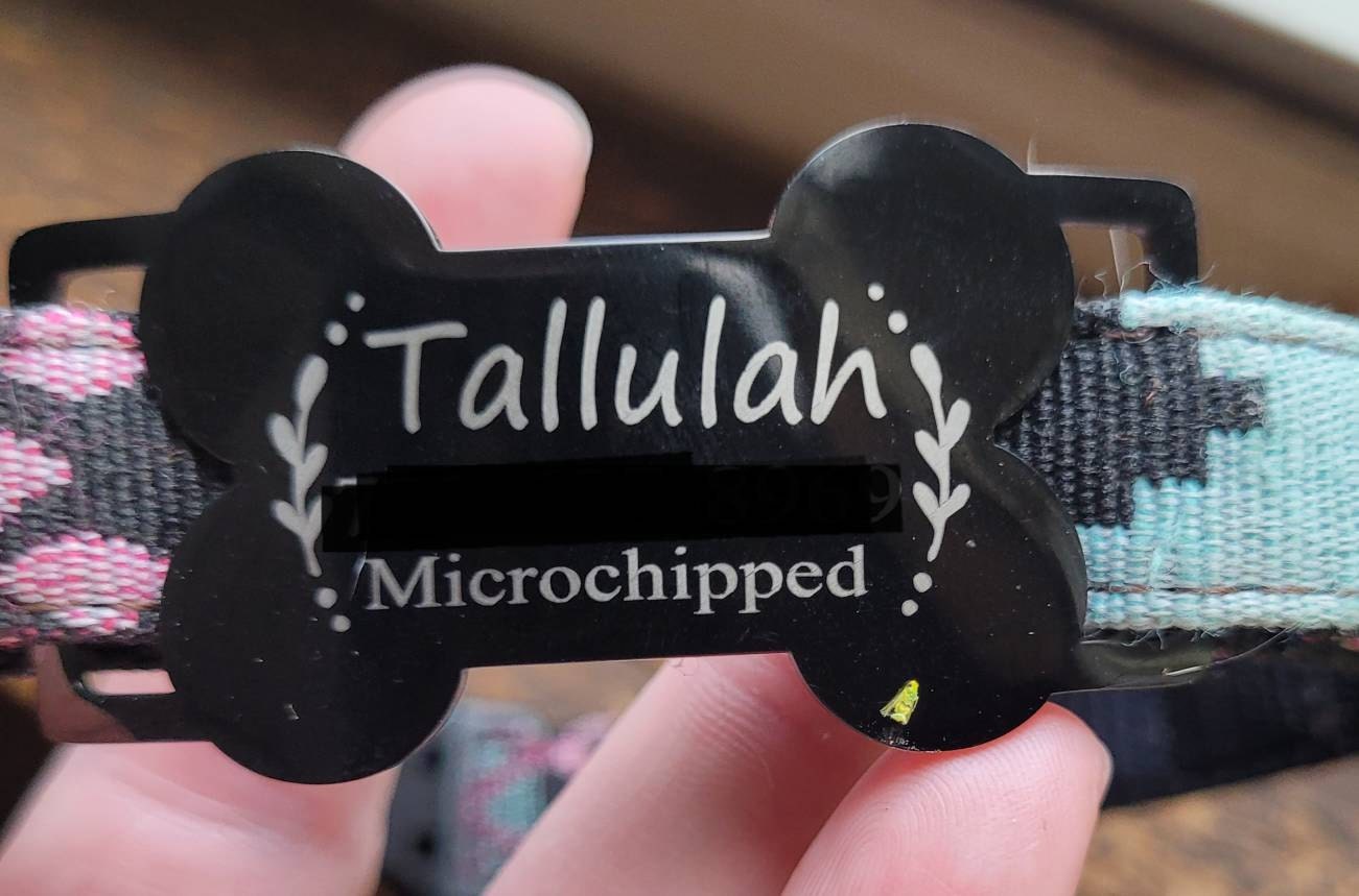 Silent dog tag personalized,Slide on dog tag,Dog Tags For Dogs,Custom Dog Name Tag,Engraved Pet ID Tag,Dog Tag Collar,Cat Tag,Puppy Tag
