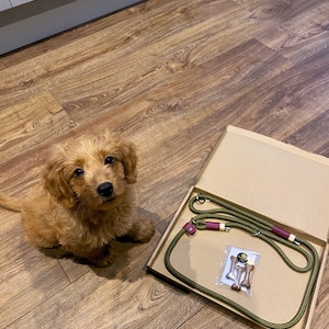 Rob added a photo of their purchase