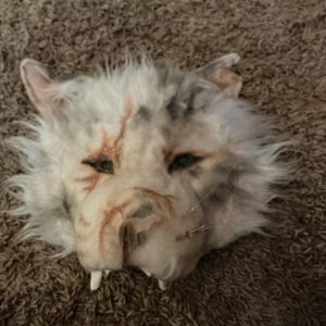 Ashton added a photo of their purchase