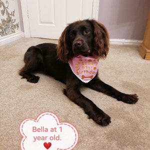 Stacey added a photo of their purchase