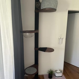 David added a photo of their purchase