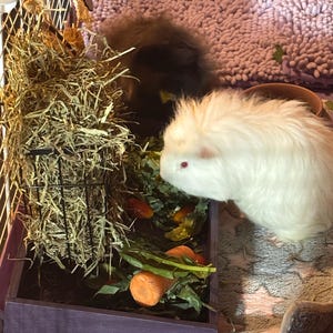 Jess added a photo of their purchase