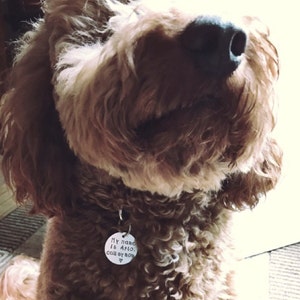 Lacey added a photo of their purchase