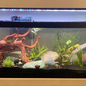 Elizabeth added a photo of their purchase
