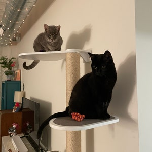 Comprador de Etsy ha añadido una foto de su compra