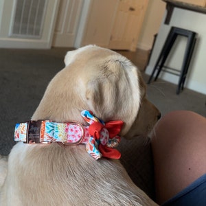cameron added a photo of their purchase