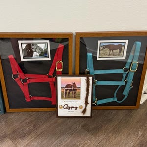 Sierra added a photo of their purchase