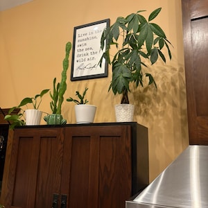 Joy added a photo of their purchase