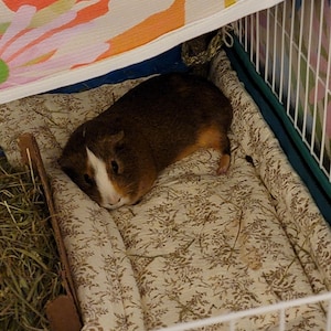 Emily added a photo of their purchase