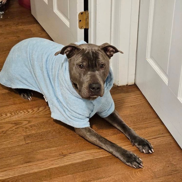 Dog bathrobe Trixie Grey XL