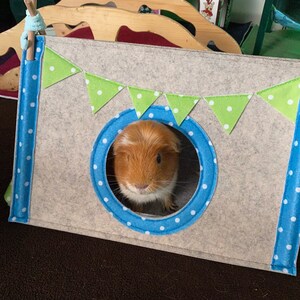 Personalized guinea pig house from felt