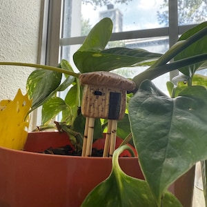 alice added a photo of their purchase