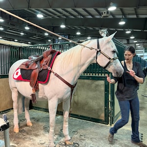 Julia added a photo of their purchase