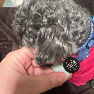 Tara added a photo of their purchase