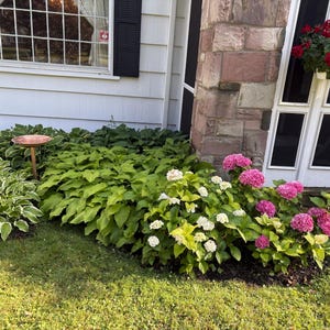 Mary added a photo of their purchase