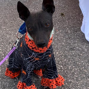 Kellye heeft een foto van zijn/haar aankoop toegevoegd