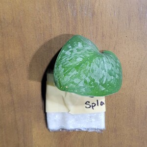 Erin added a photo of their purchase