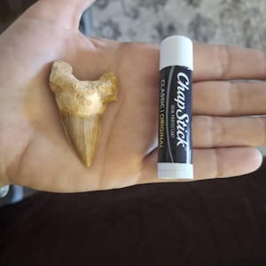 Kelly added a photo of their purchase