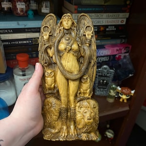 Ken added a photo of their purchase