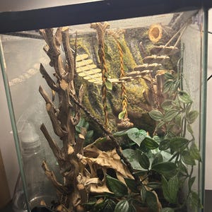 Stacey ha añadido una foto de su compra