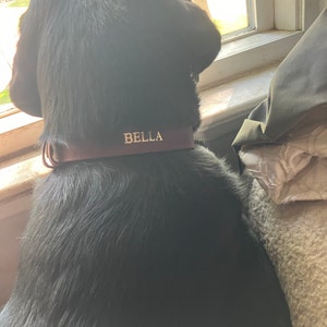 David added a photo of their purchase